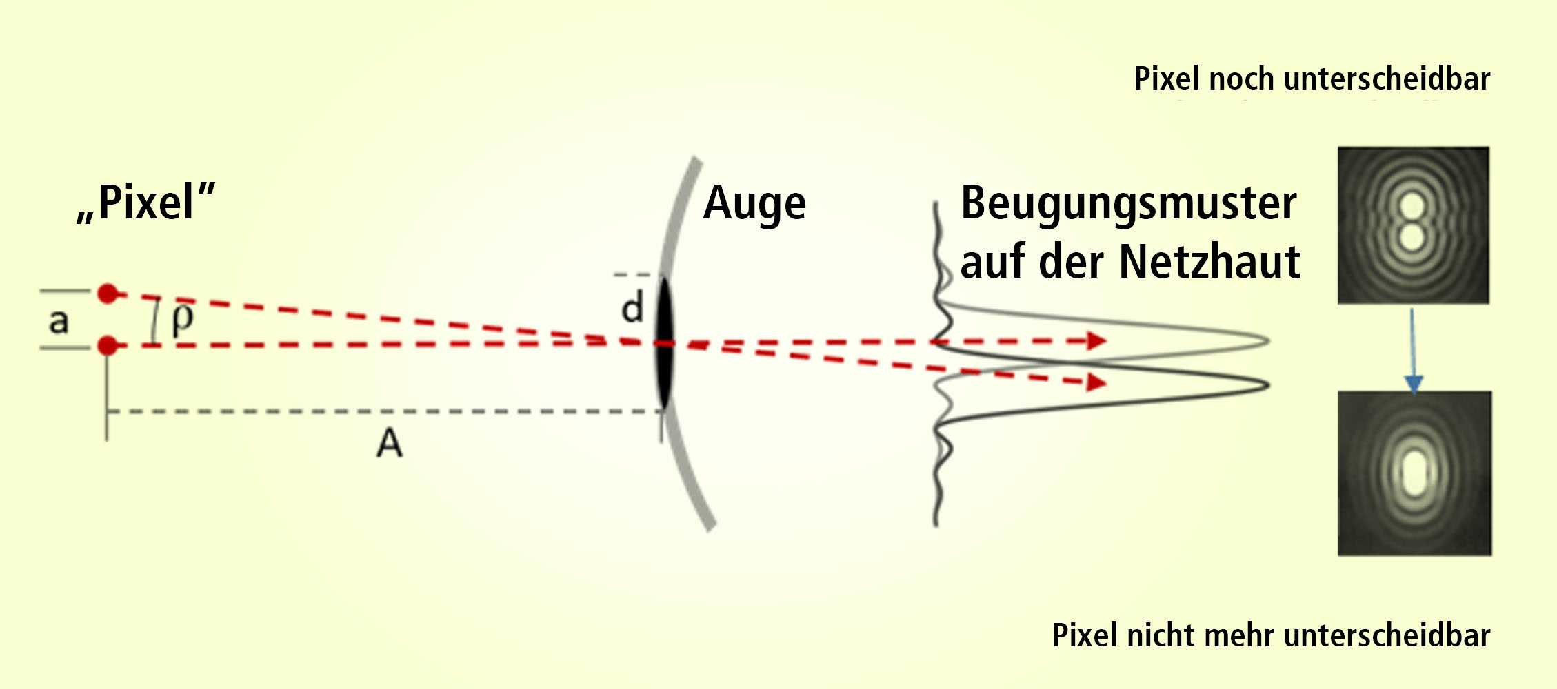 Auflösung auf der Netzhaut