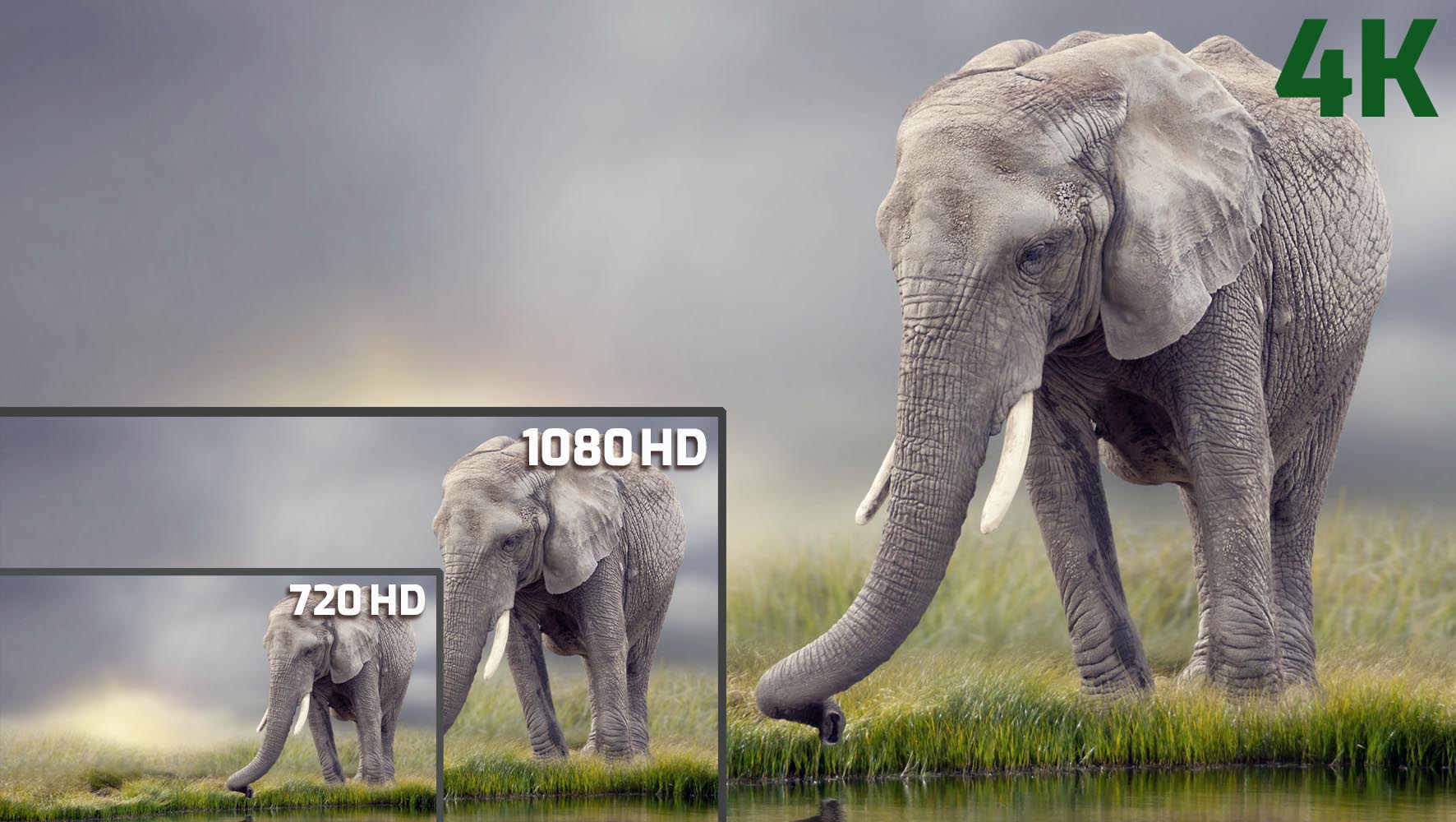 Bildschirmauflösungen HD und 4K