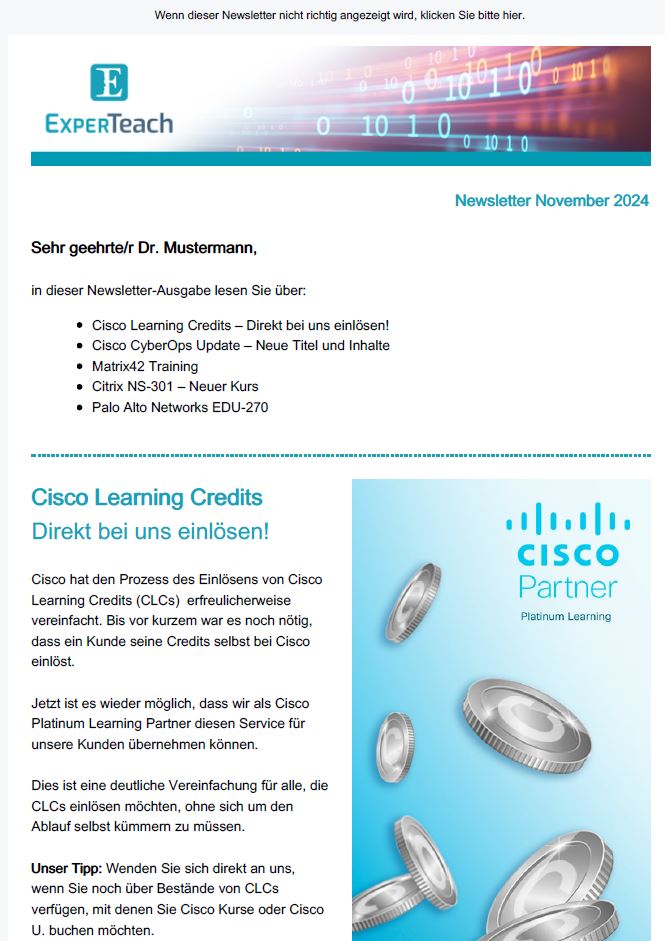 Newsletter Preview November 2024