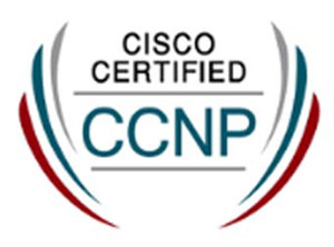 350-201 PDF Testsoftware