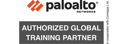 Palo Alto Training